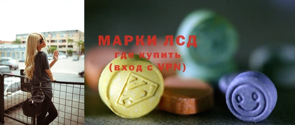 spice Бородино