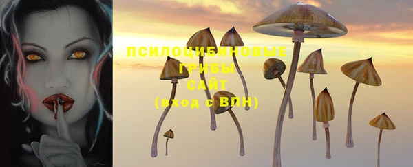 индика Волосово