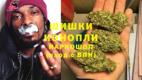 spice Бородино