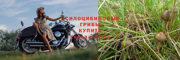 jwh Сосновый Бор
