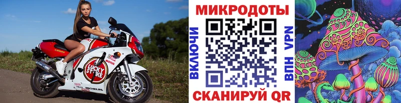 наркошоп  Зея  Галлюциногенные грибы GOLDEN TEACHER 